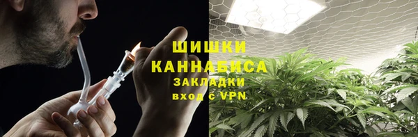 МДПВ Пересвет