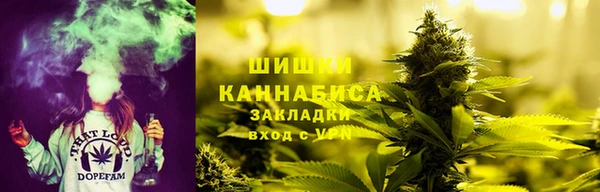 МДПВ Пересвет