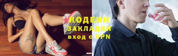 МДПВ Пересвет