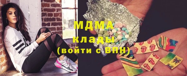 МДПВ Пересвет