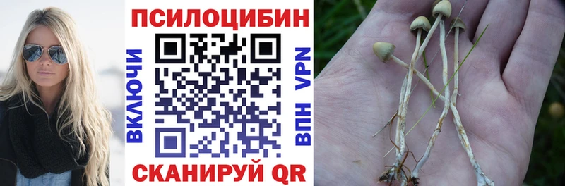 Псилоцибиновые грибы Magic Shrooms  hydra как войти  Никольск  где продают наркотики 
